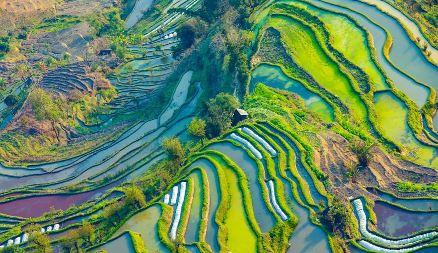 走进德州TVC拍摄：解锁本地化场景与创意镜头的完美融合